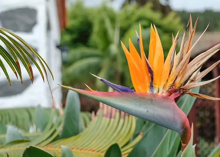 La Sorriba *